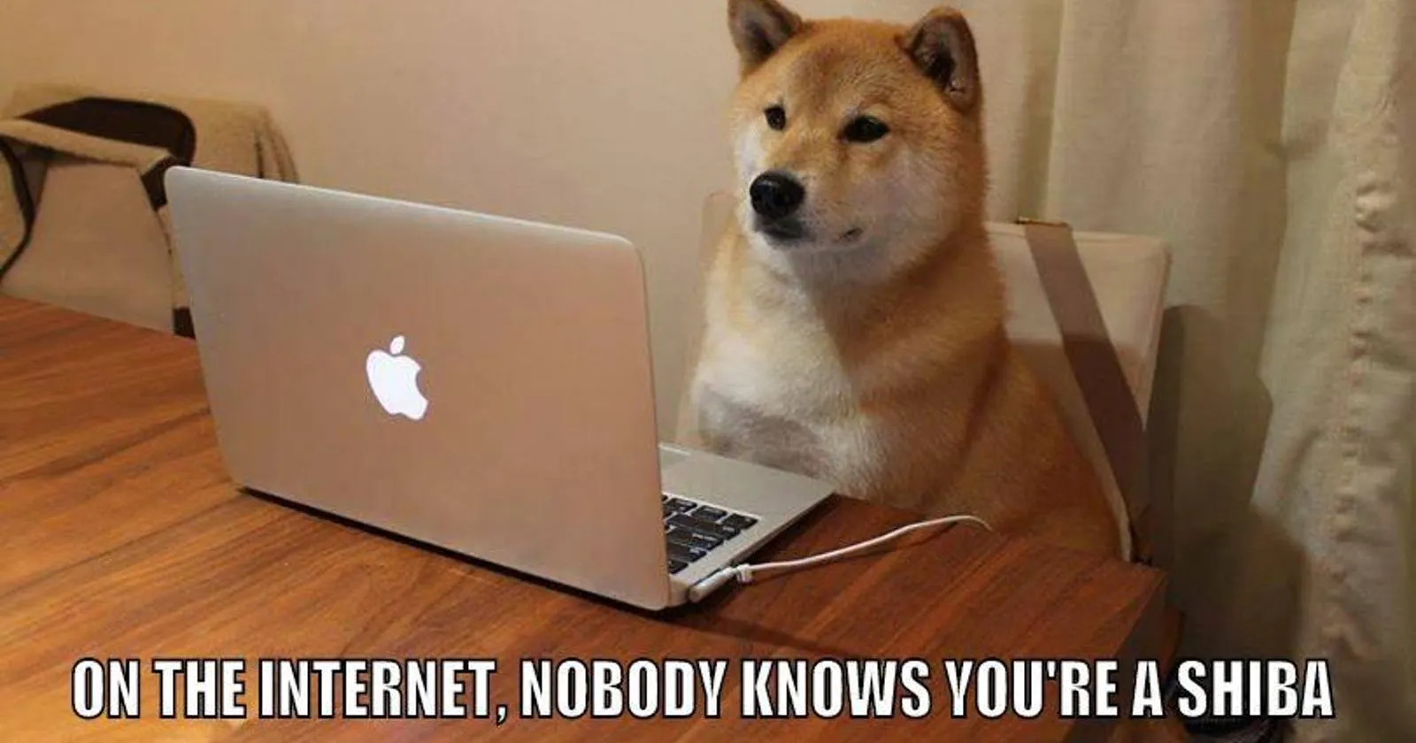 A Beginner's Guide to HTTP
