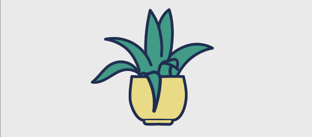 About My Digital Garden